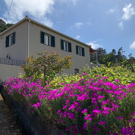 Willa Terra Batista House Porto Da Cruz Zewnętrze zdjęcie