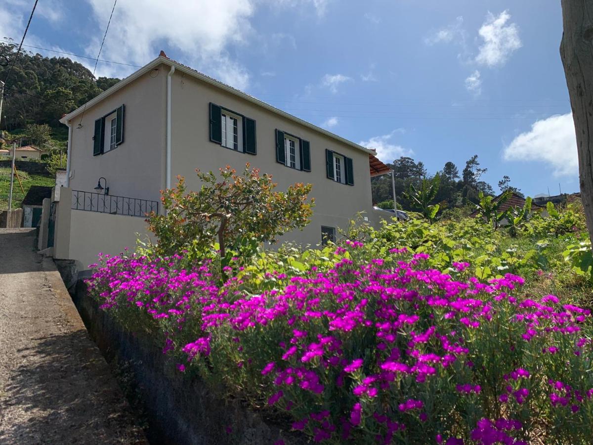 Willa Terra Batista House Porto Da Cruz Zewnętrze zdjęcie